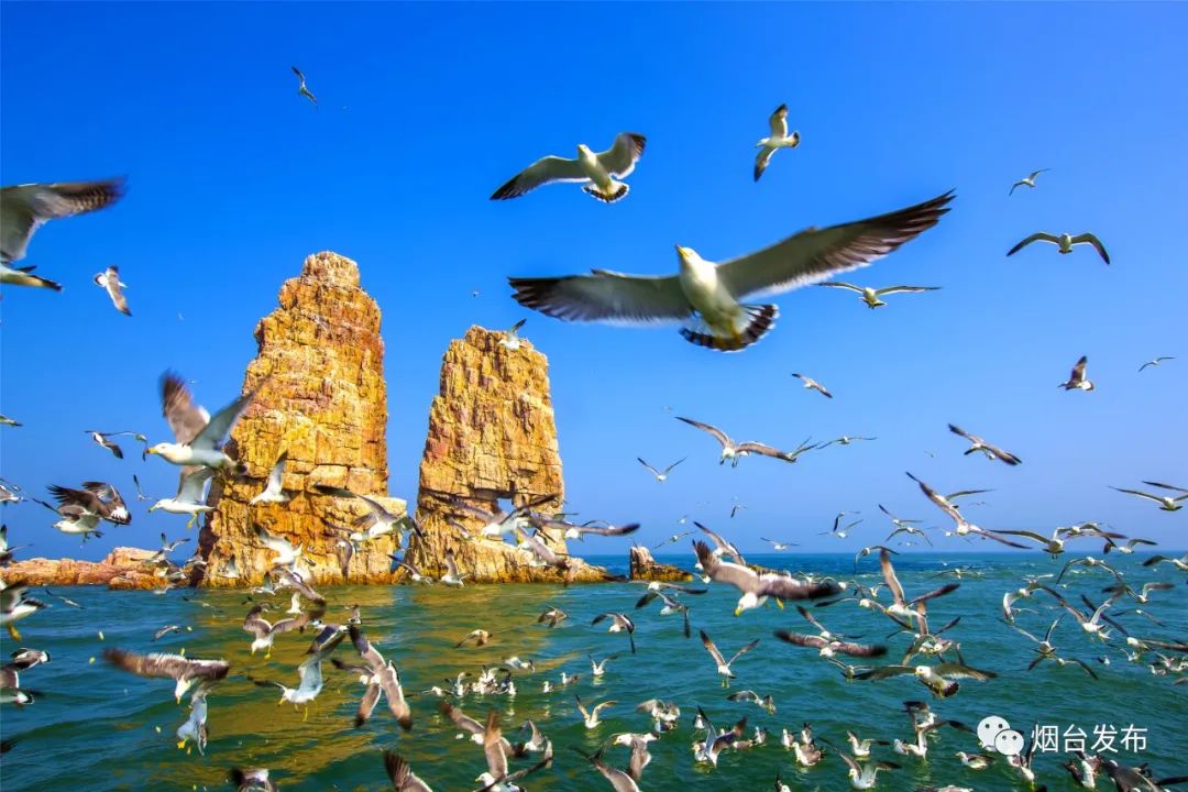 烟台论坛-烟台社区-长岛,中国唯一的海岛国家地质公园!